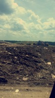 Georgetown County Landfill